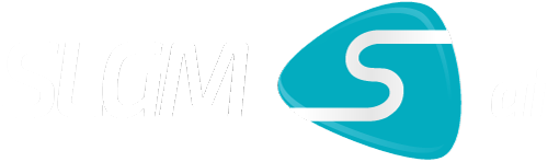 slgm ai